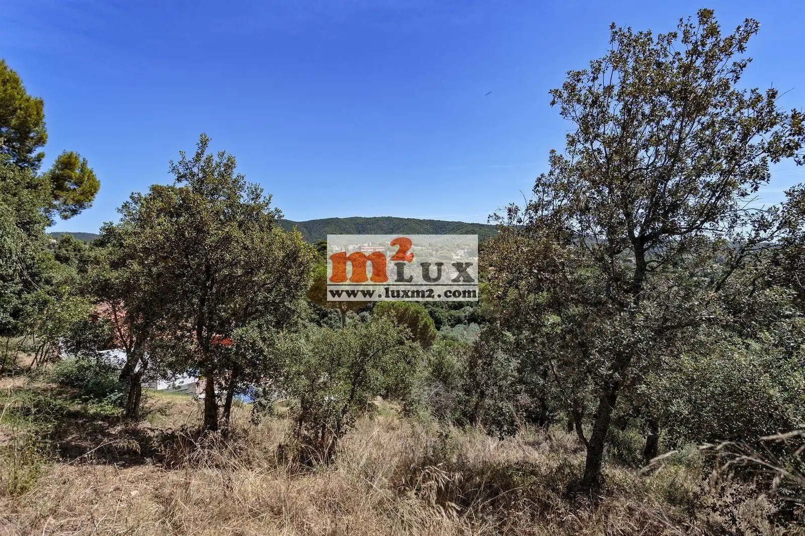 Terreny residencial en venda a Carrer Olivera, imagen 4