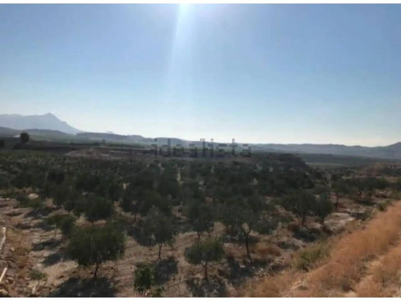 Rural land for sale in Calle MAYOR, imagen 3