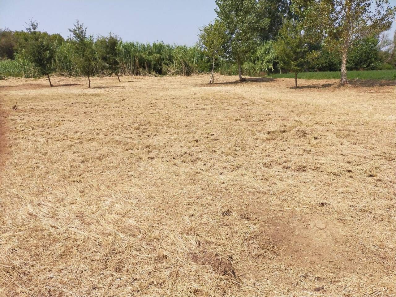 Finca rústica en venda en Verges amb Jardí privat
