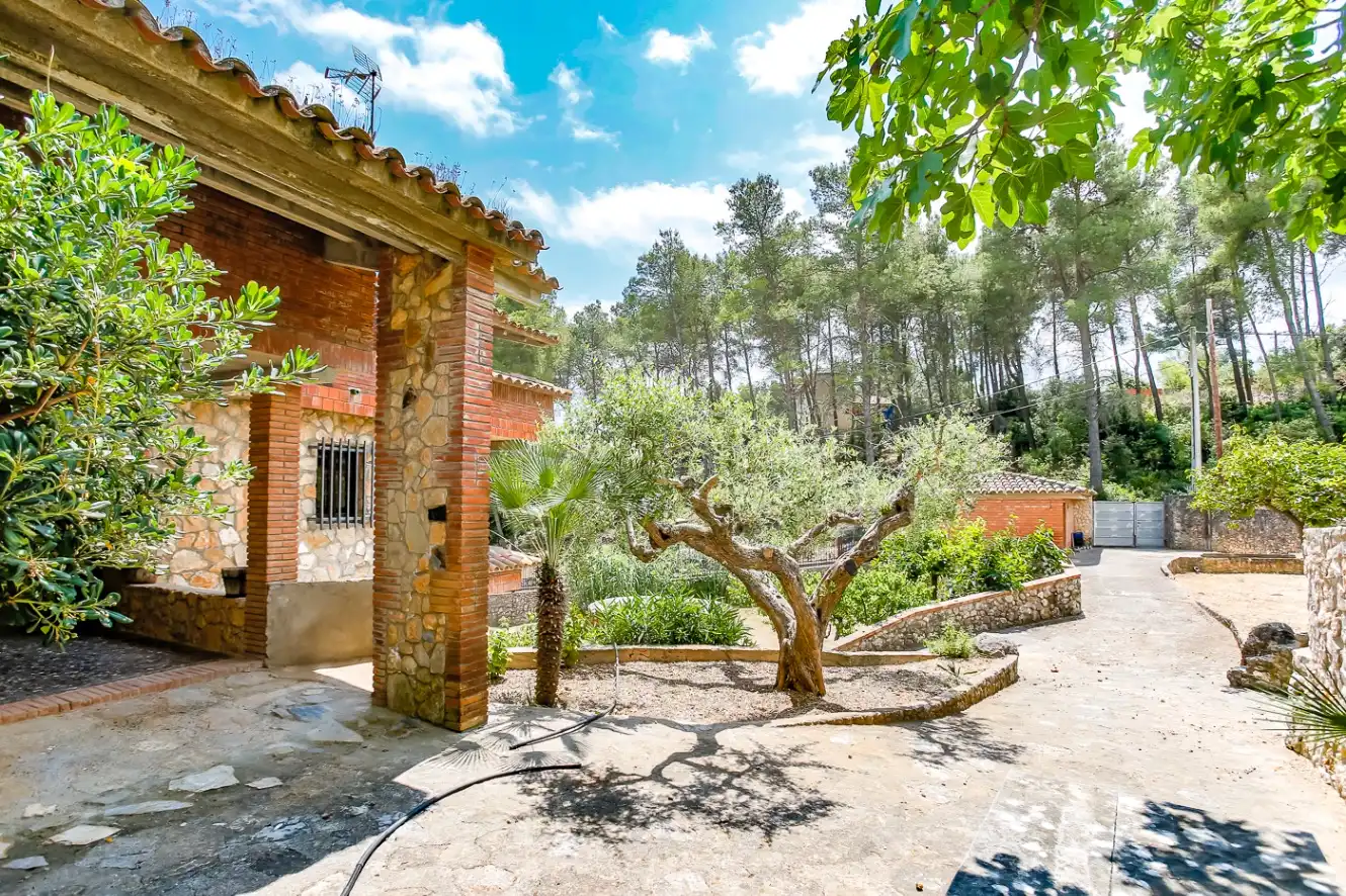 Jardín de Finca rústica en venta en Avinyonet del Penedès