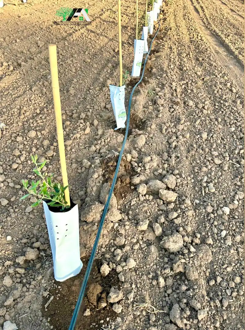 Terreni e lotti in vendita a Travesia de Linares, imagen 4