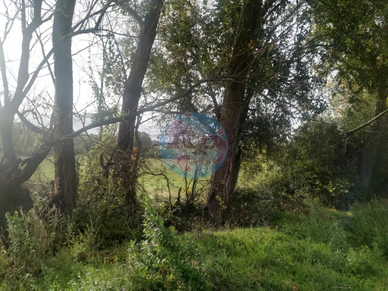 Terreni e lotti in vendita a Villaquilambre, imagen 6