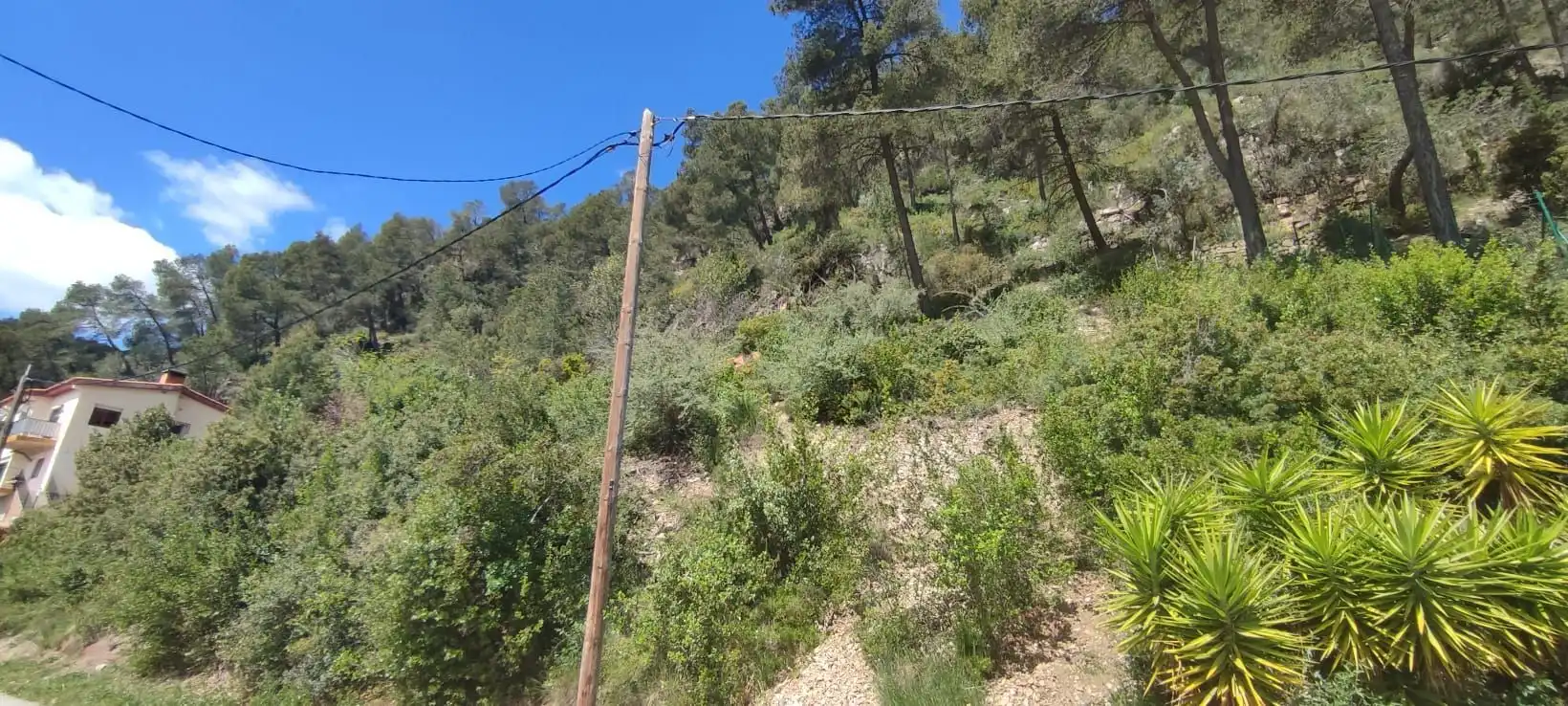 Lands and plots for sale in Vallirana, imagen 5