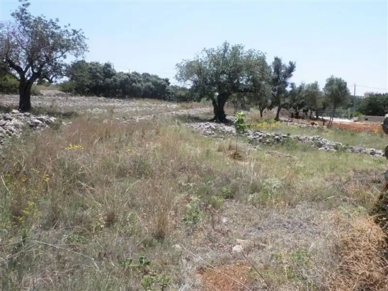 Rural land for sale in Benissa pueblo, imagen 9