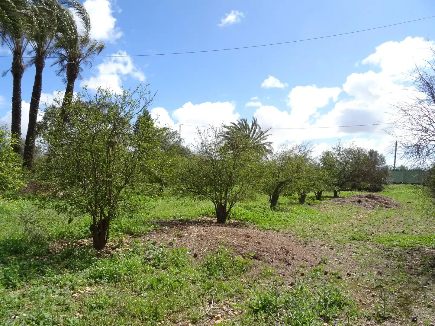 Casa o xalet en venda en Cartagena amb Jardí privat
