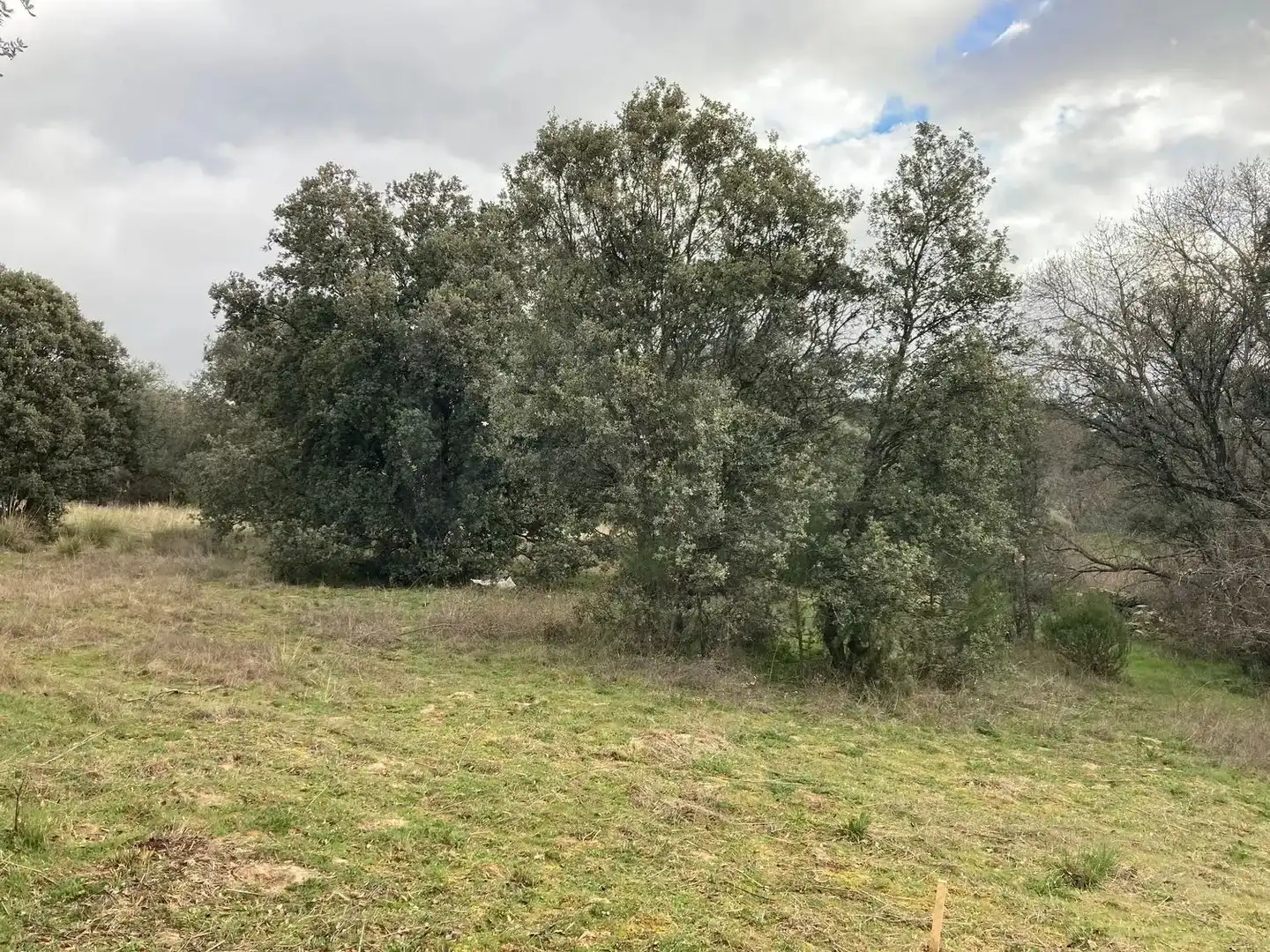 Residential land for sale in Urbanización Sotogrande 3, imagen 11