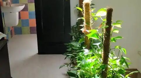 Foto 3 de Piso en venta en Calle Calvario, 12, Cortegana, Huelva