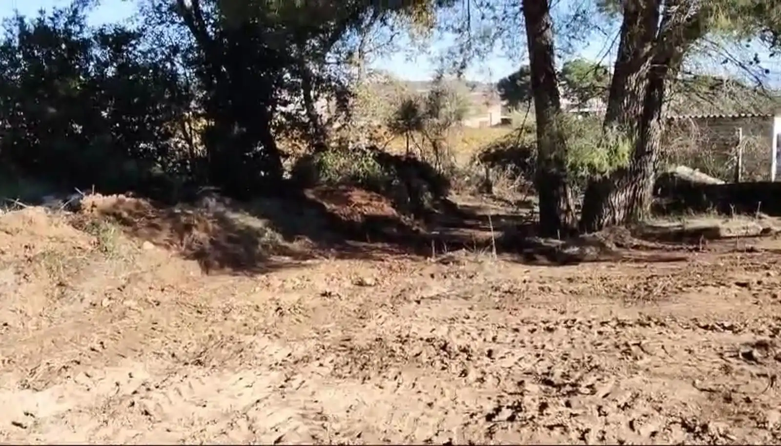 Residential land for sale in Calle Drago ( CAN CORAL), imagen 8