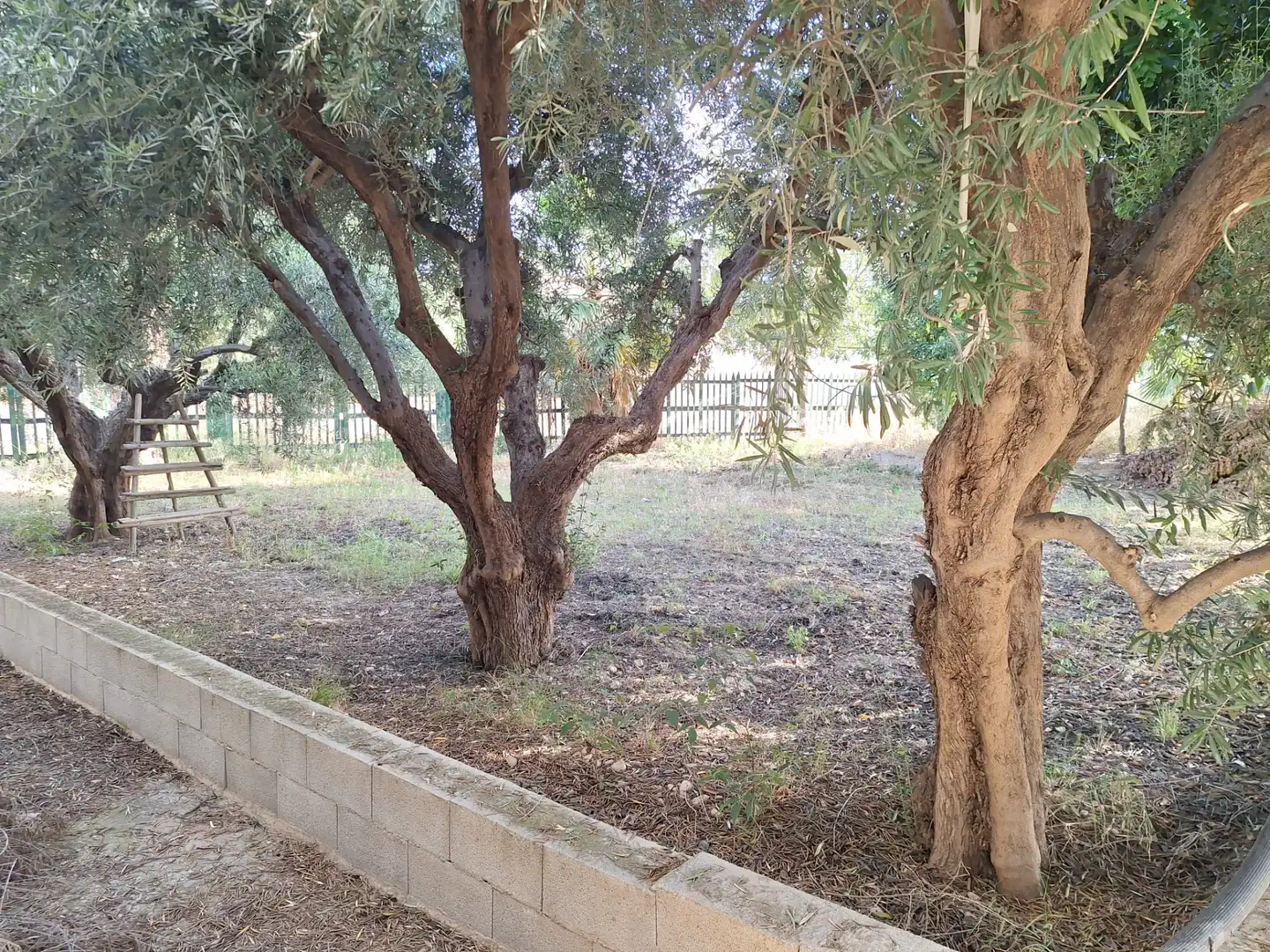 Casa amb jardí en venda a Villamontes - Boqueres, imagen 11