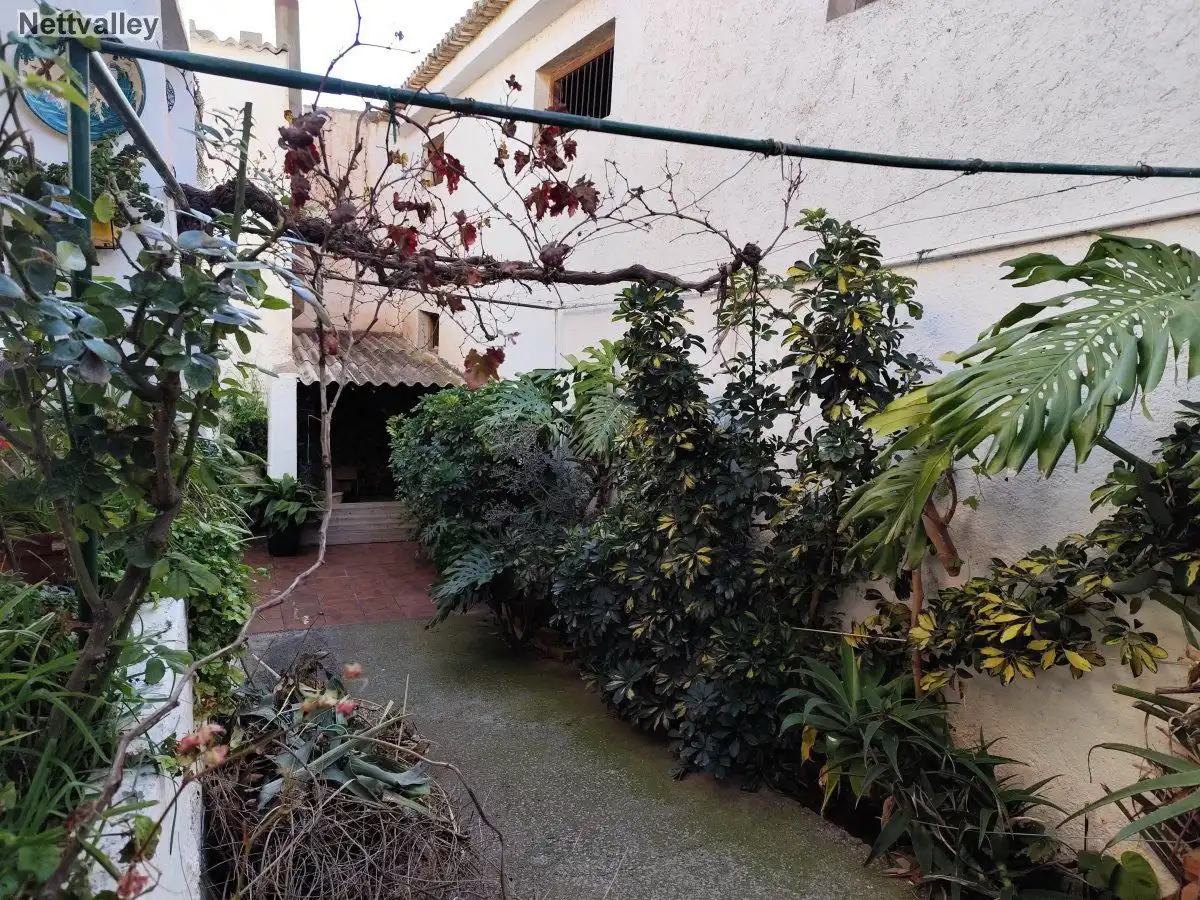 Jardí de Casa o xalet en venda en El Pinar amb Terrassa