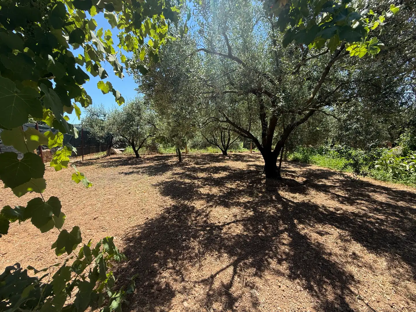 Rustikales Grundstück zum Verkauf in El Camí de Vila-seca 28, imagen 4