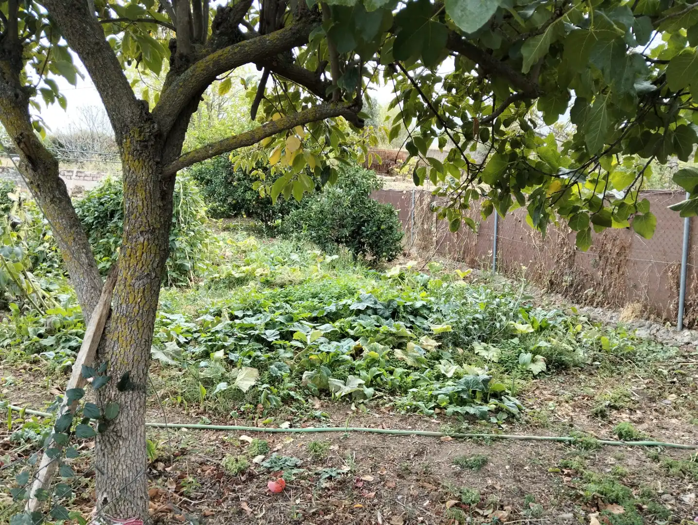Jardí de Casa o xalet en venda en Cáceres amb Aire condicionat, Jardí privat i Piscina