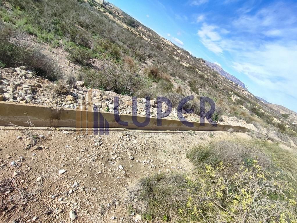 Exterior view of Land for sale in Agost