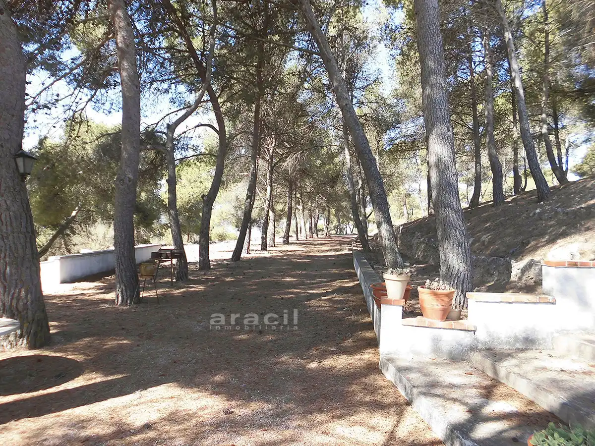 Casa rustica con piscina in vendita a Partida Doncella, imagen 14