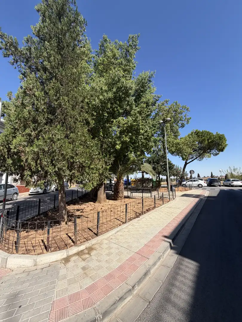 Vista exterior de Pis de lloguer en Dos Hermanas amb Terrassa, Moblat i Balcó