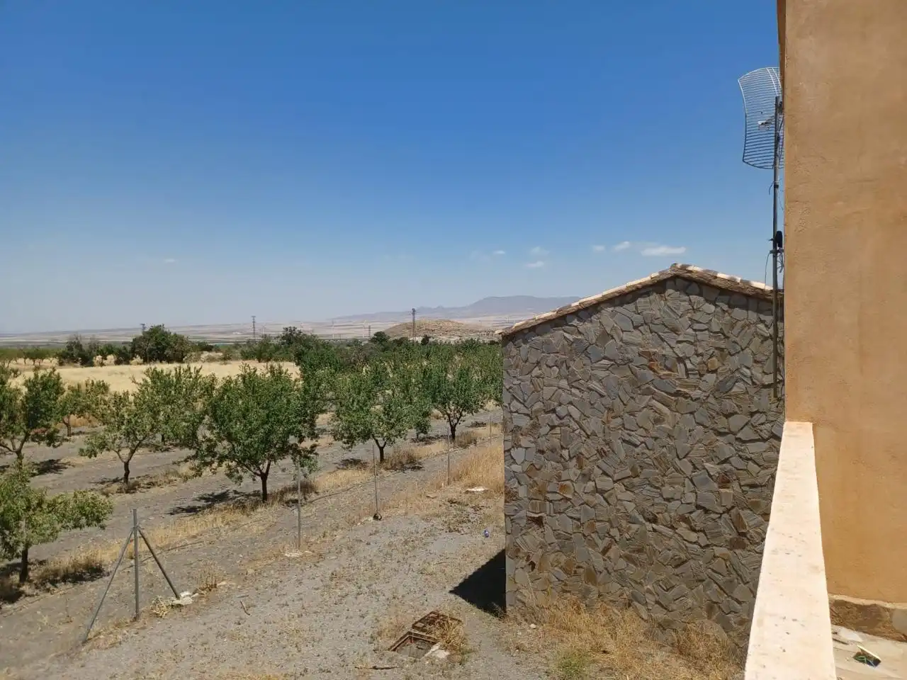 Buildings for sale in Dólar