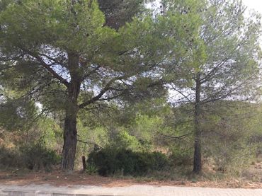 Terreno residencial en venta en Carrer del Pi