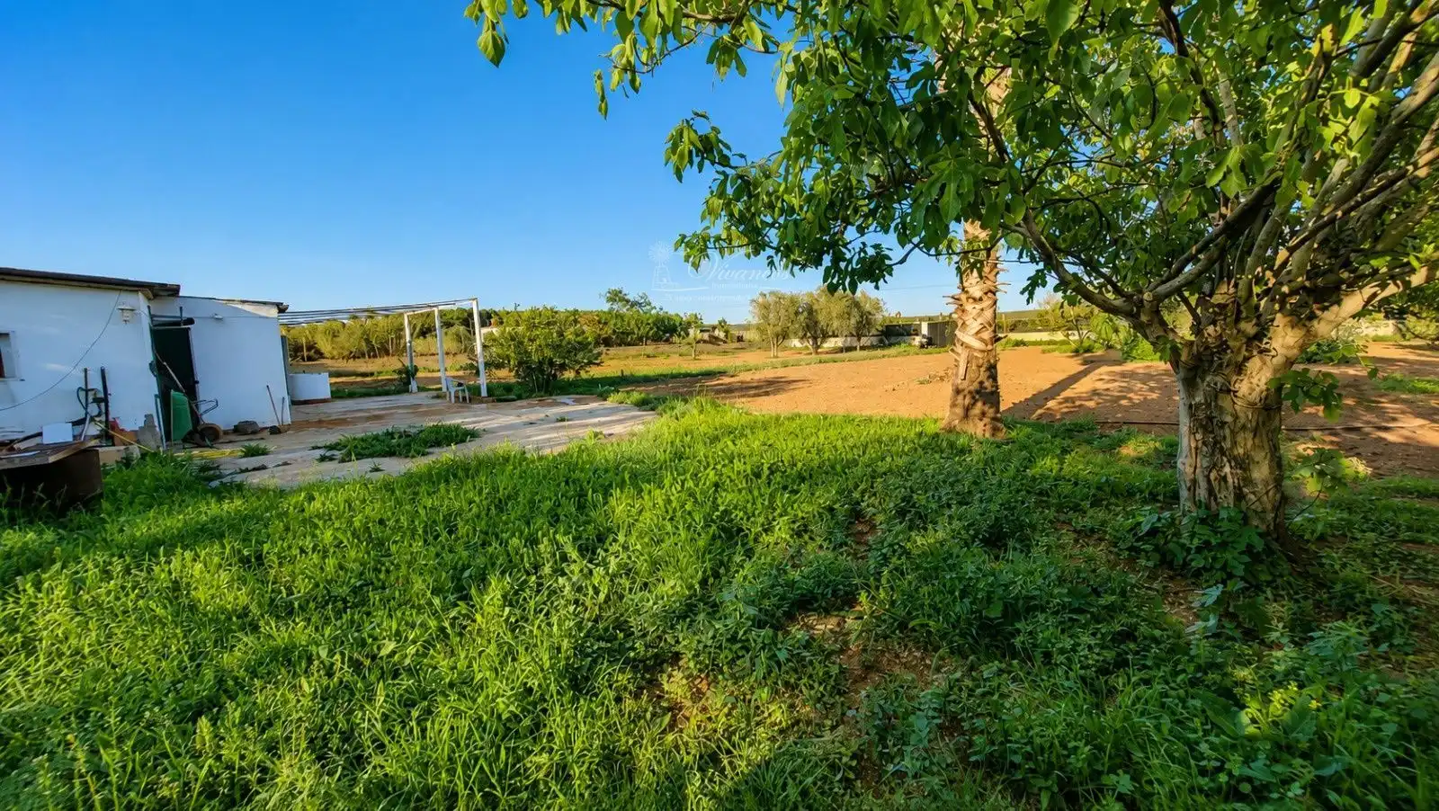 Terreni e lotti in vendita a N/A, imagen 6