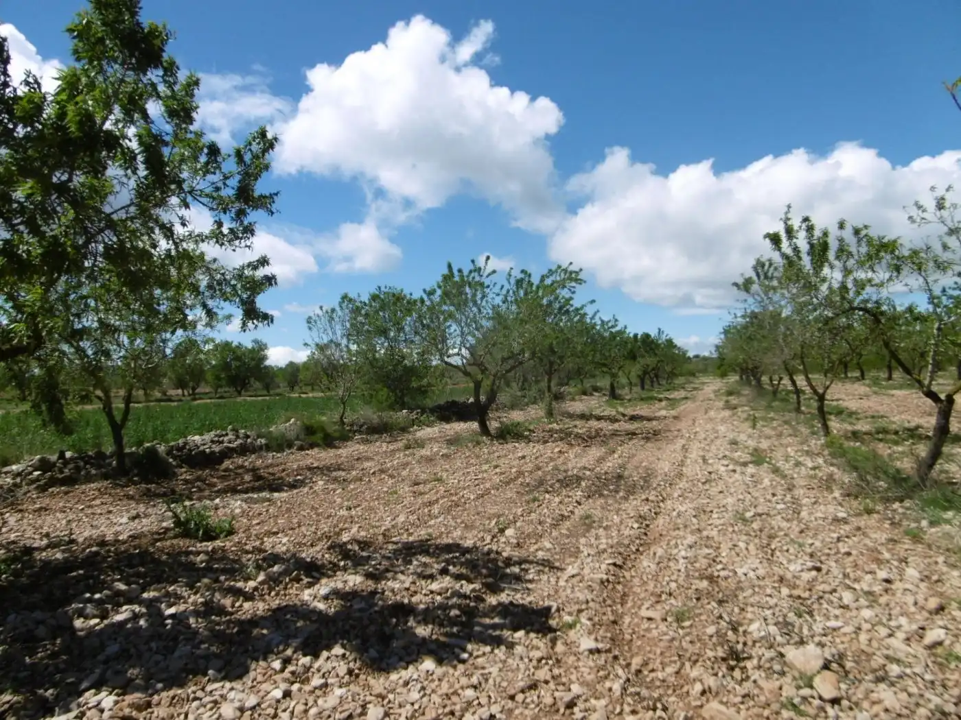 Terreno en venta en PARCELA, Benlloc