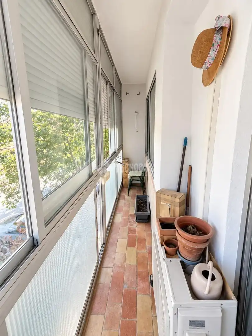 Flat with terrace for sale in Florida - Ciudad de Asís, imagen 3