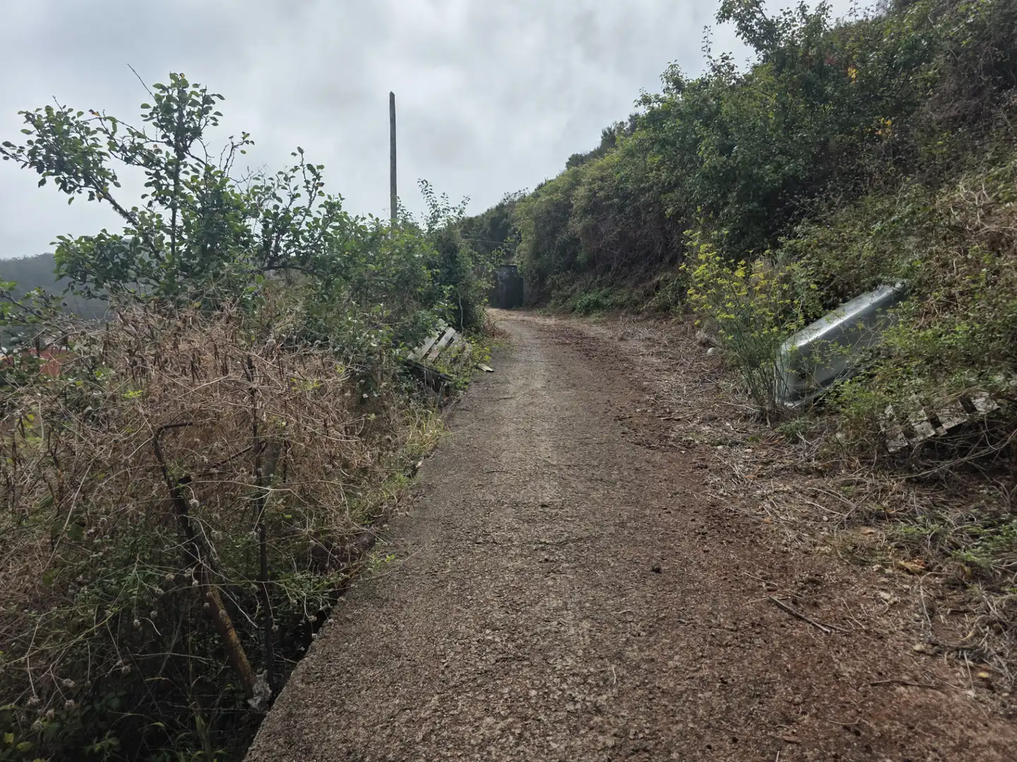Rural land for sale in Camino las Peñuelas 11, imagen 18