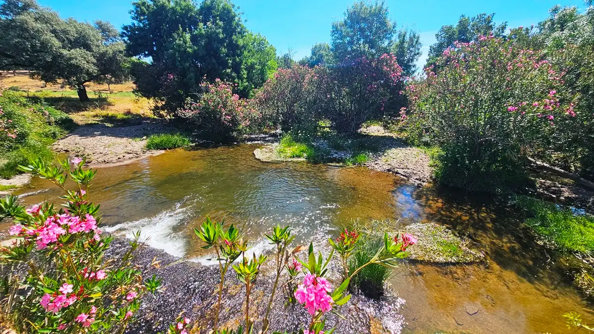 Terrenos y solares en venta en Aracena, imagen 23