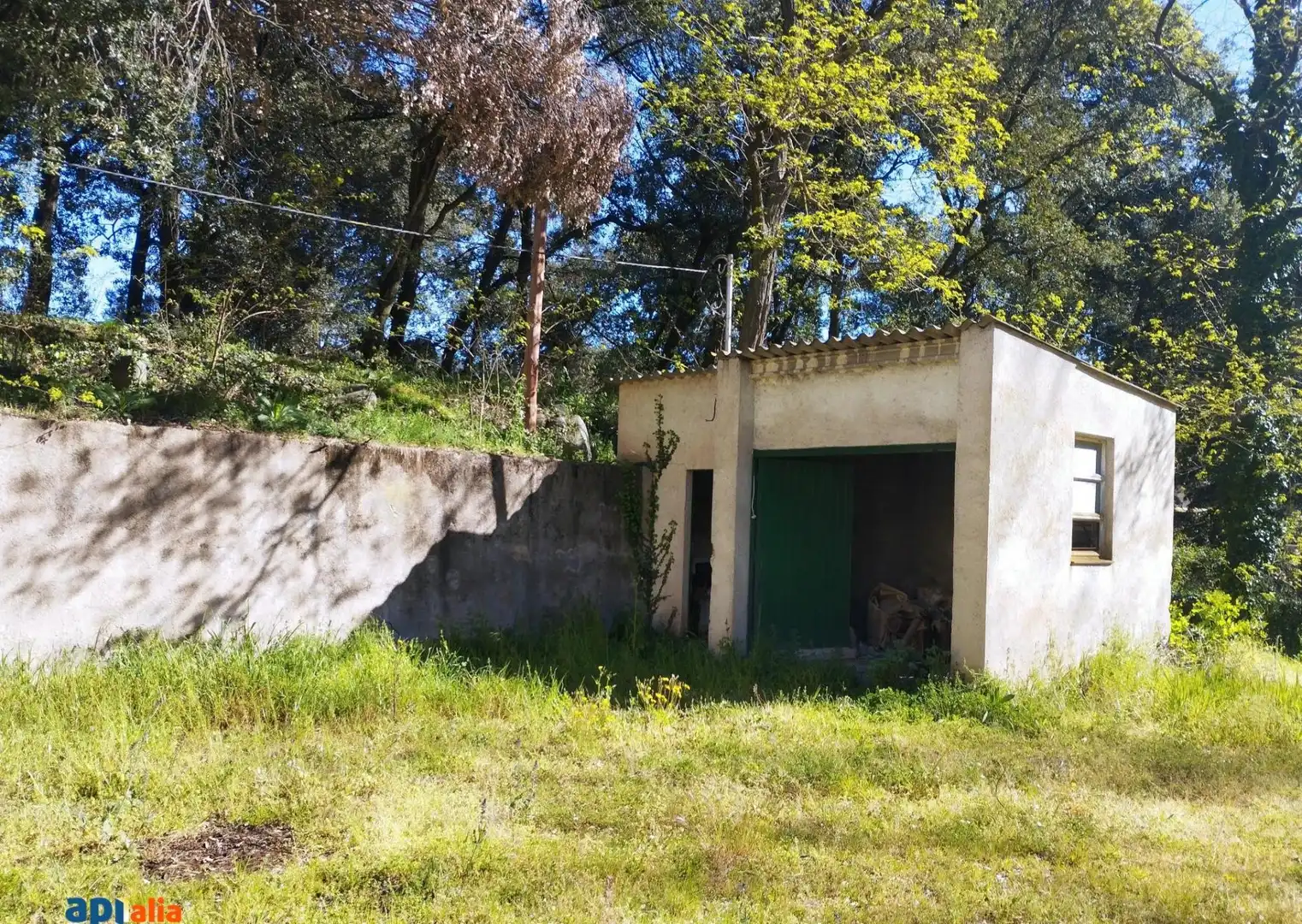 Finca rústica en venta en Massanes