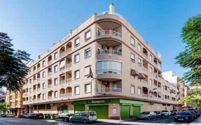 Vista exterior de Apartament en venda en Torrevieja amb Terrassa