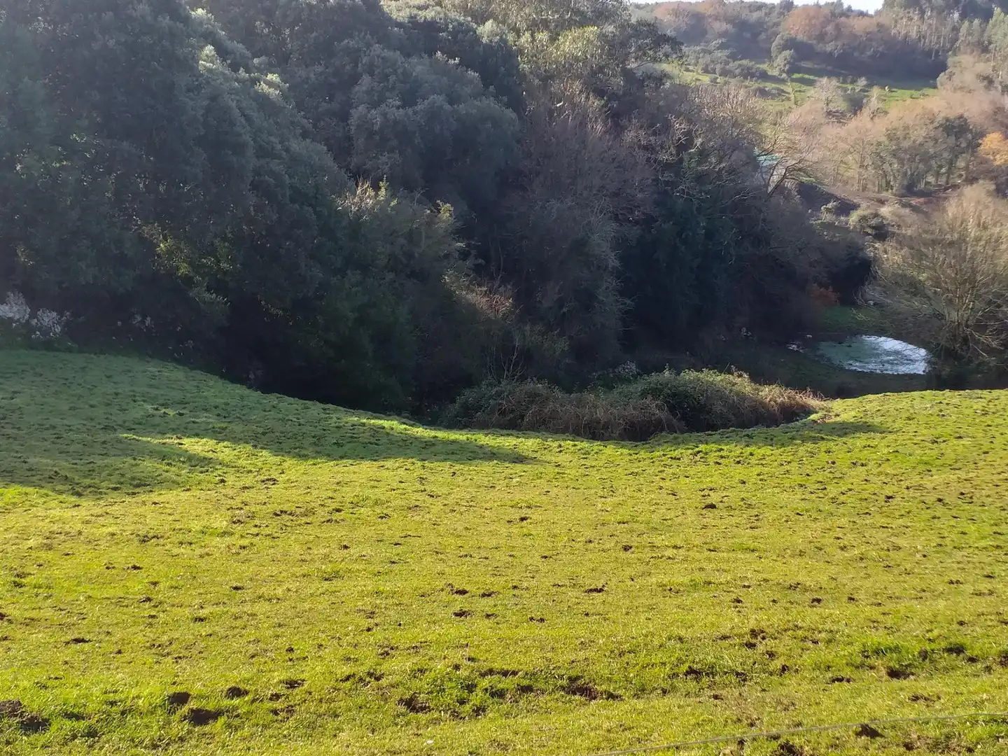 Rustikales Grundstück zum Verkauf in Santillana del Mar, imagen 7