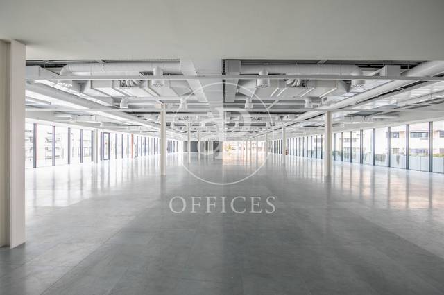 Oficina en Alquiler en Ctra. del Prat en La Marina del Port