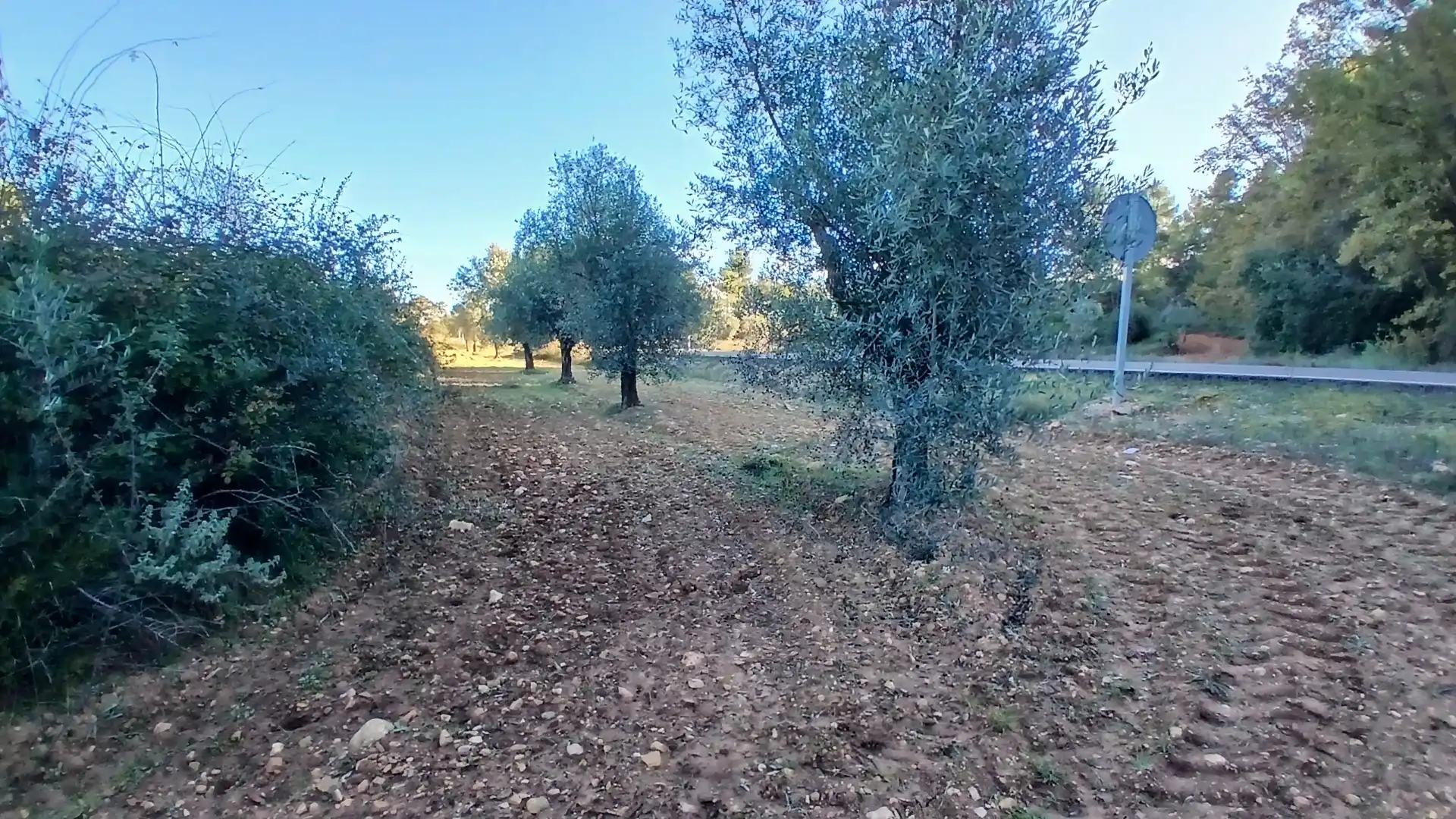 Terreno rustico in vendita a N/A, imagen 5