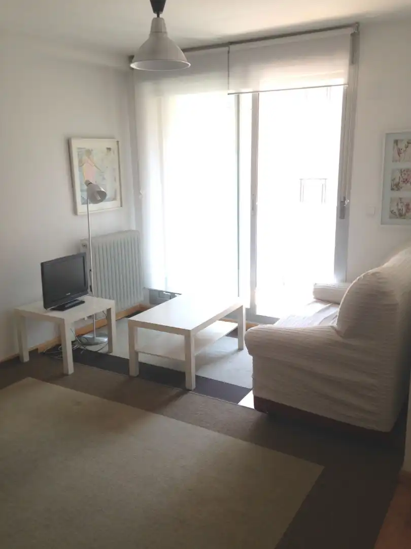 Sala d'estar de Pis de lloguer en Zaragoza amb Calefacció, Moblat i Forn
