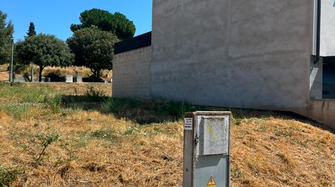 Immagine 2 dell'annuncio