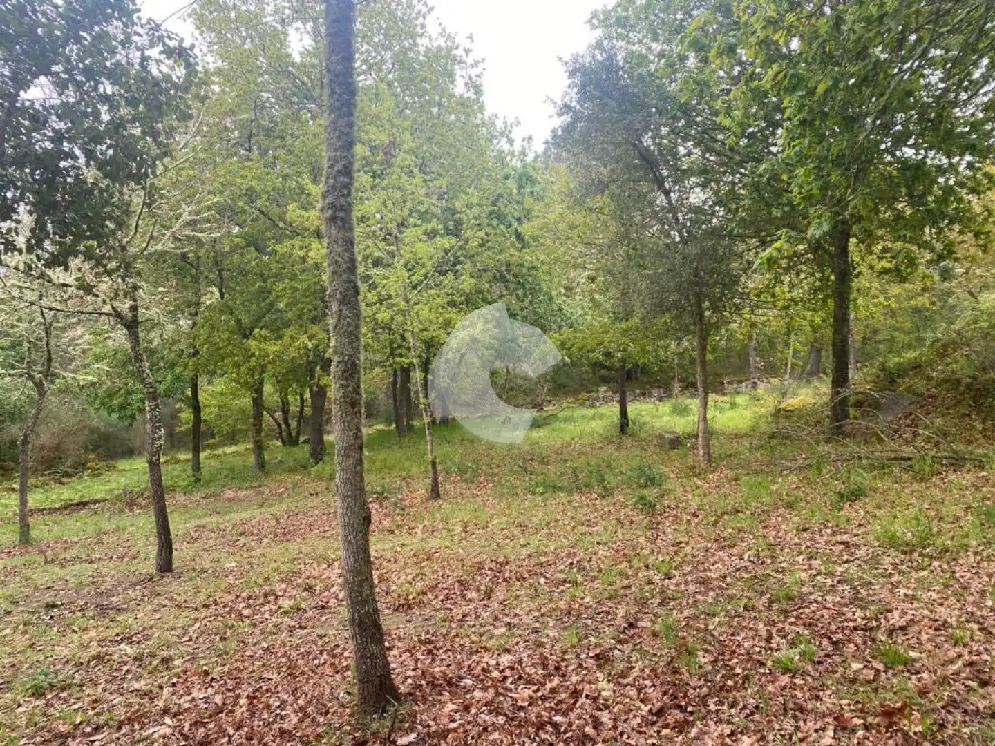 Terreni e lotti in vendita a O Pereiro de Aguiar, imagen 8