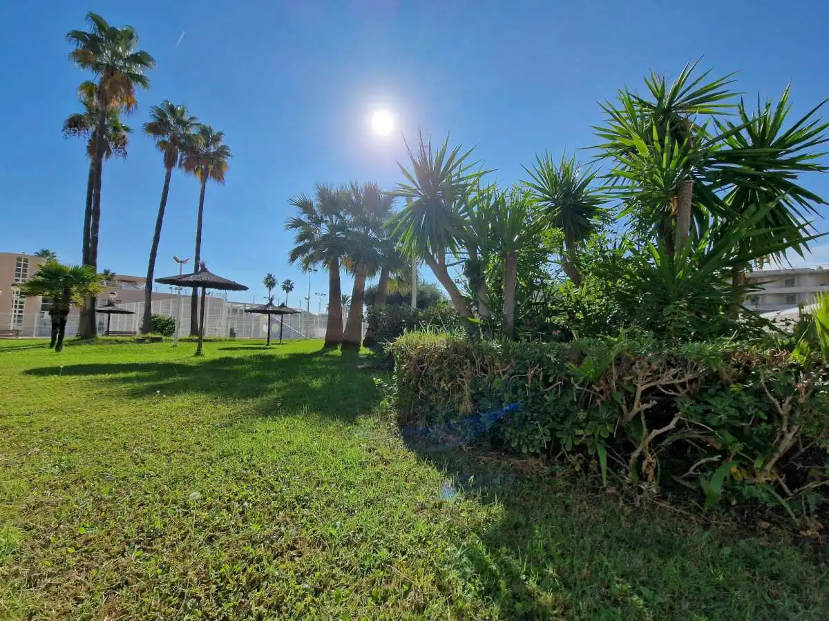 Appartement compact avec piscine à vendre à Carrer Mare Nostrum, imagen 30