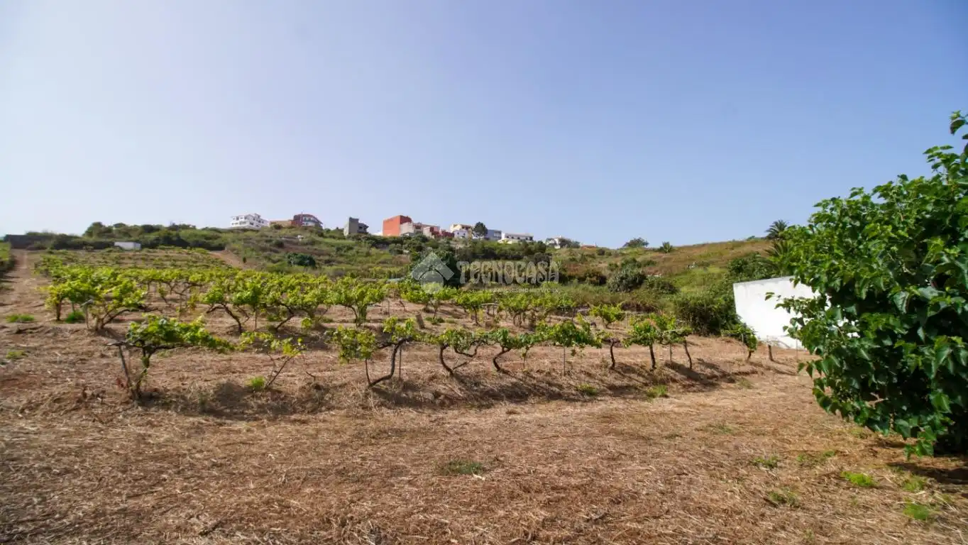 Finca rústica en venta en El Sauzal