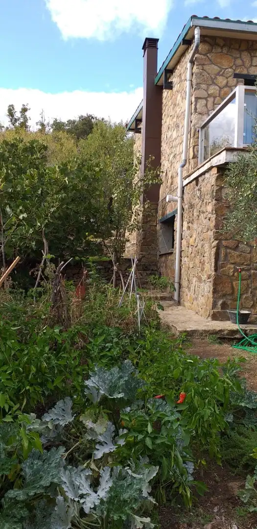 Vista exterior de Casa o xalet en venda en Hervás amb Calefacció