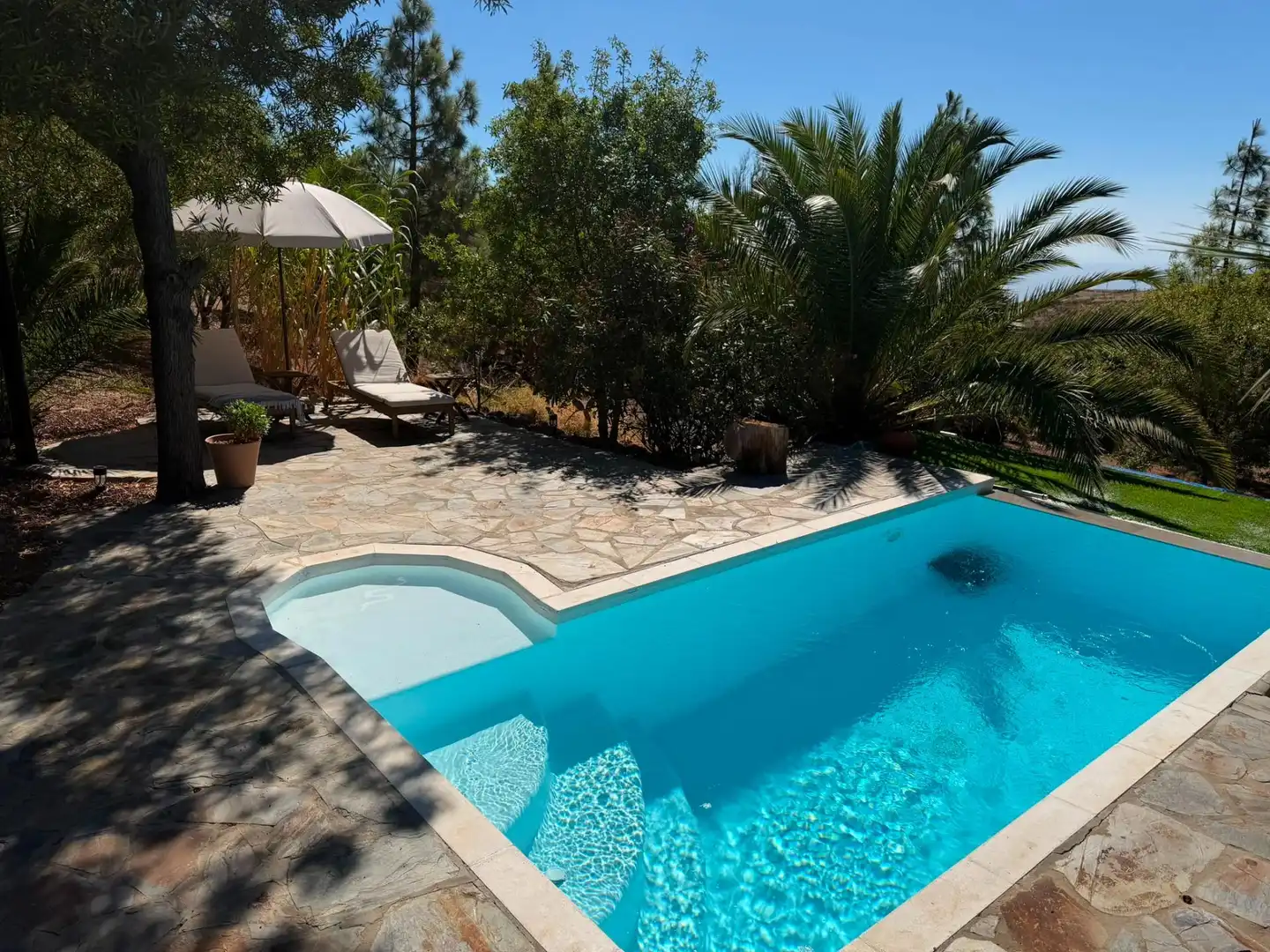 Piscina de Finca rústica en venta en Telde con Aire acondicionado, Calefacción y Jardín privado