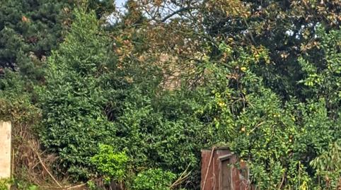 Photo 5 of Residential for sale in Cm de la Fuente del Cañu-ver, Jove, Asturias