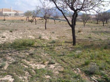 Terreno rustico in vendita a Hondón de los Frailes