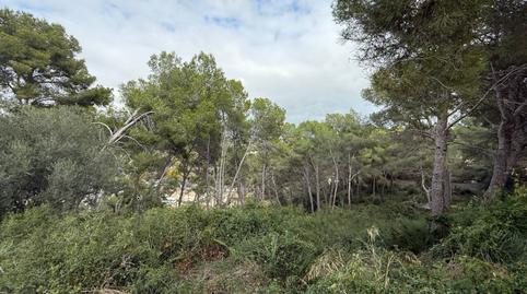 Photo 4 of Residential for sale in La Móra,  Tarragona Capital