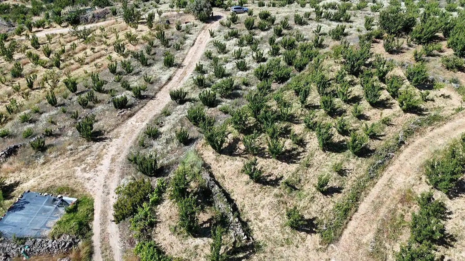 Terreni e lotti in vendita a Urbanizacion el Pajarejo, imagen 27