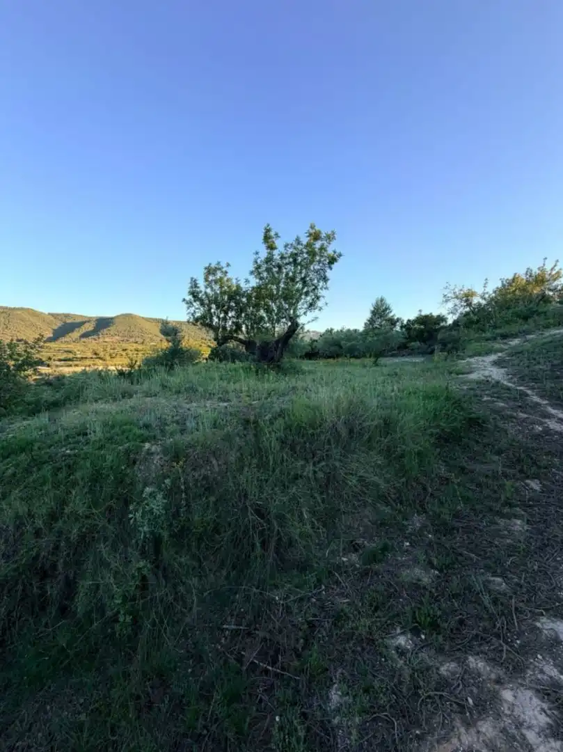 Terreny residencial en venda a El Juncal - Vallealto, imagen 24
