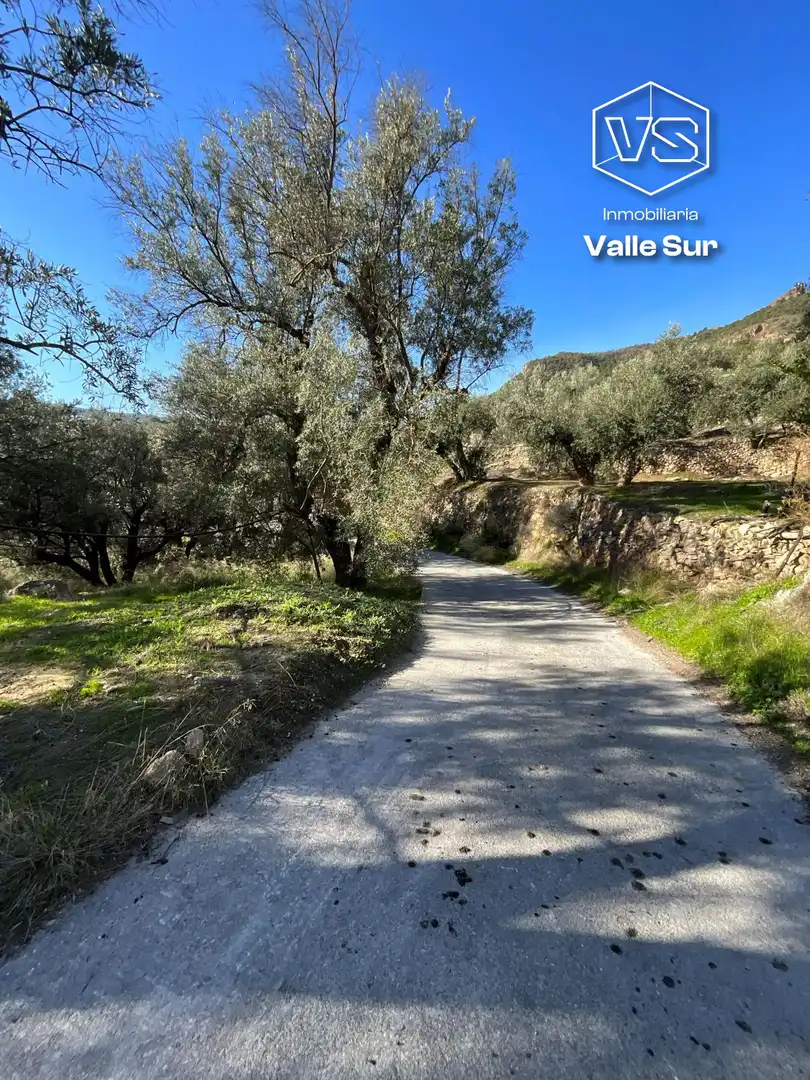 Terreni e lotti in vendita a carretera