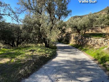 Terrenys i solars en venda a carretera