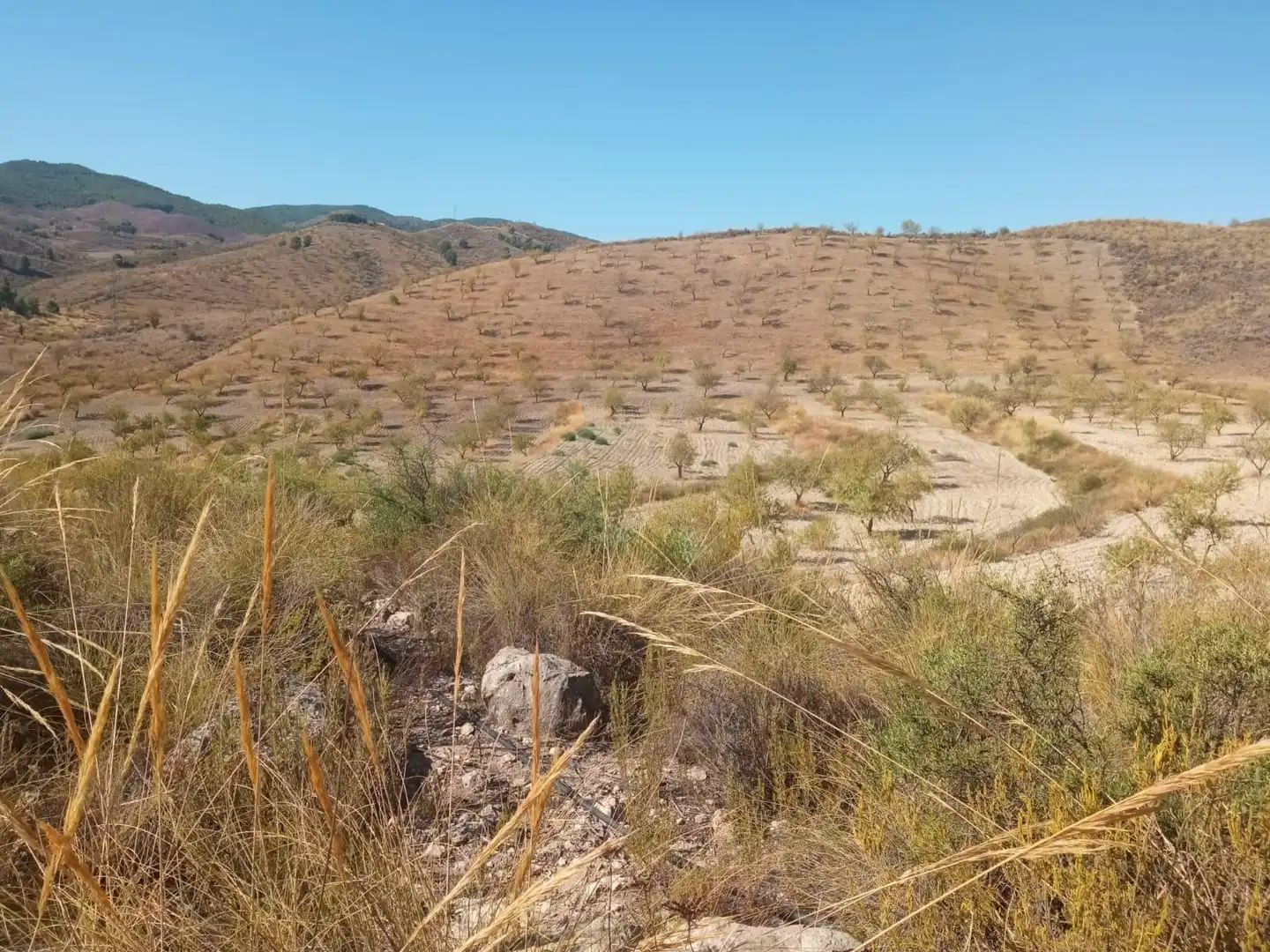 Terrains et parcelles à vendre à Pedanías Norte, imagen 38