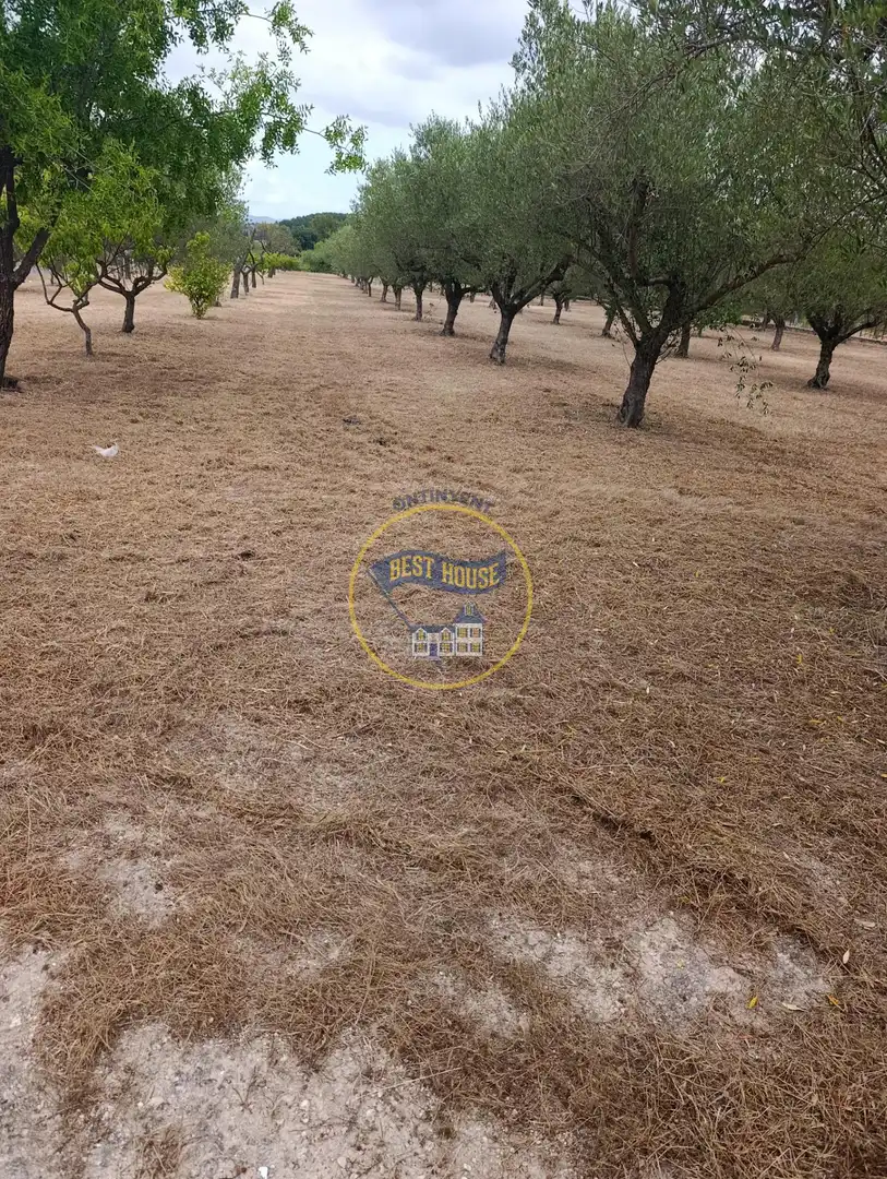 Casa o xalet en venda en Ontinyent amb Jardí privat, Traster i Piscina