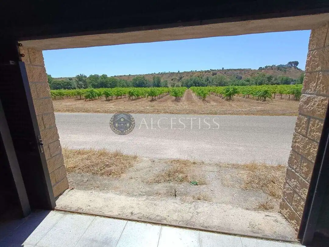 Casa o xalet en venda en El Viso de San Juan amb Aire condicionat, Calefacció i Jardí privat