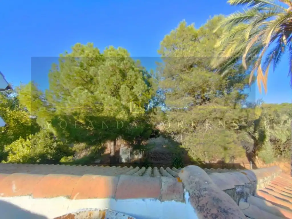 Jardí de Casa o xalet en venda en Carmona