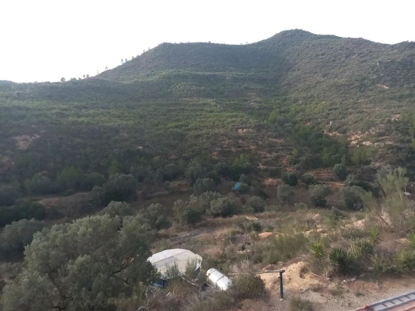 Grundstücke zum Verkauf in Riba-roja d'Ebre